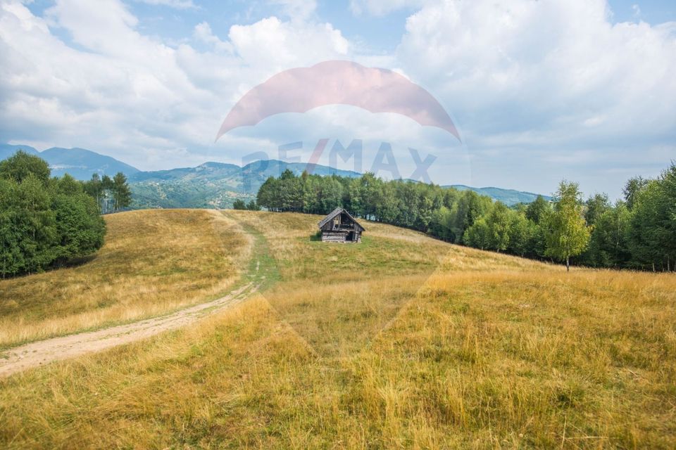 Teren extravilan Moieciu 45316mp