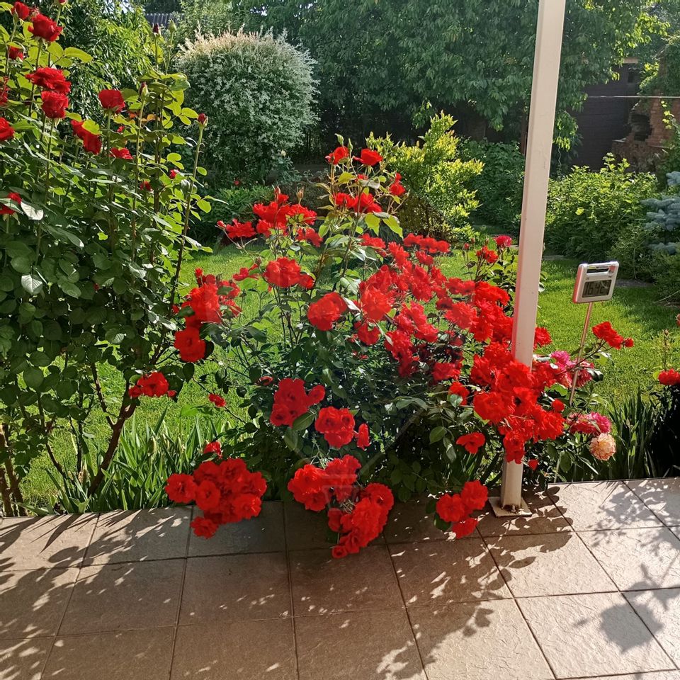 8 room House / Villa for sale, Central area