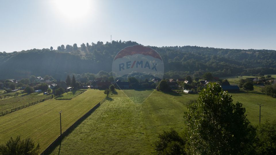 Teren intravilan 7.255 mp +casă rustică – ideal pensiune în Vama Buzău