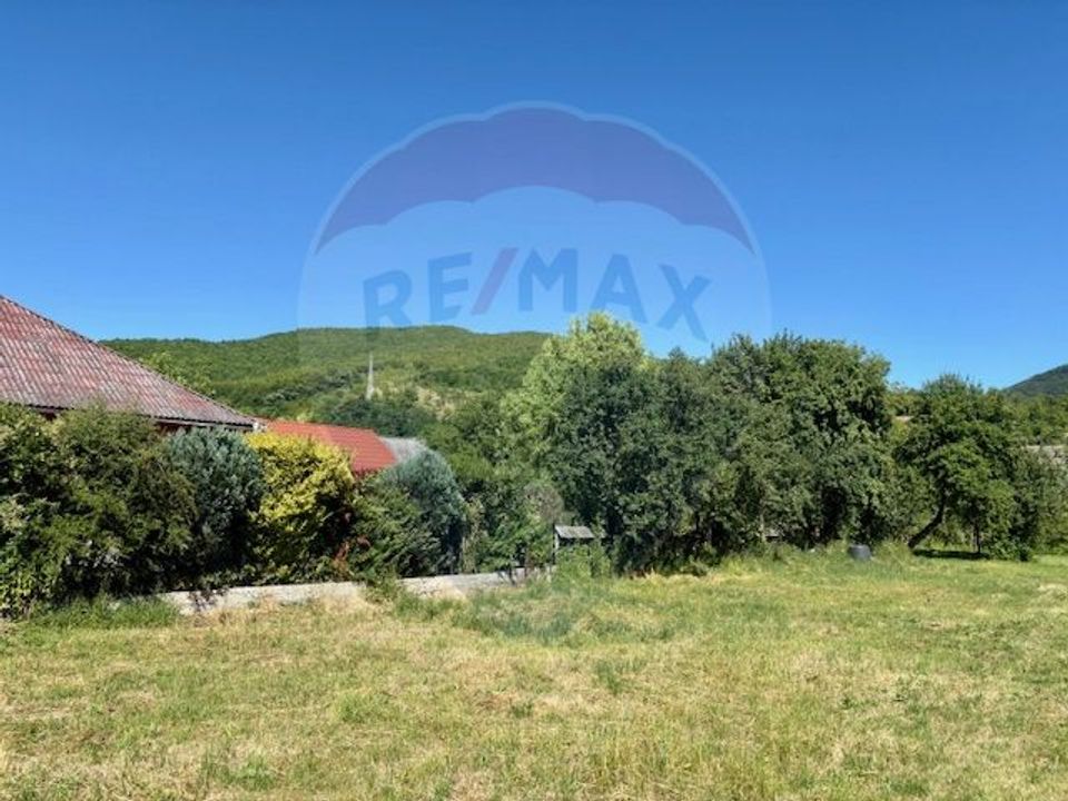 Land 3,154sqm Barsana / Intrarea principala