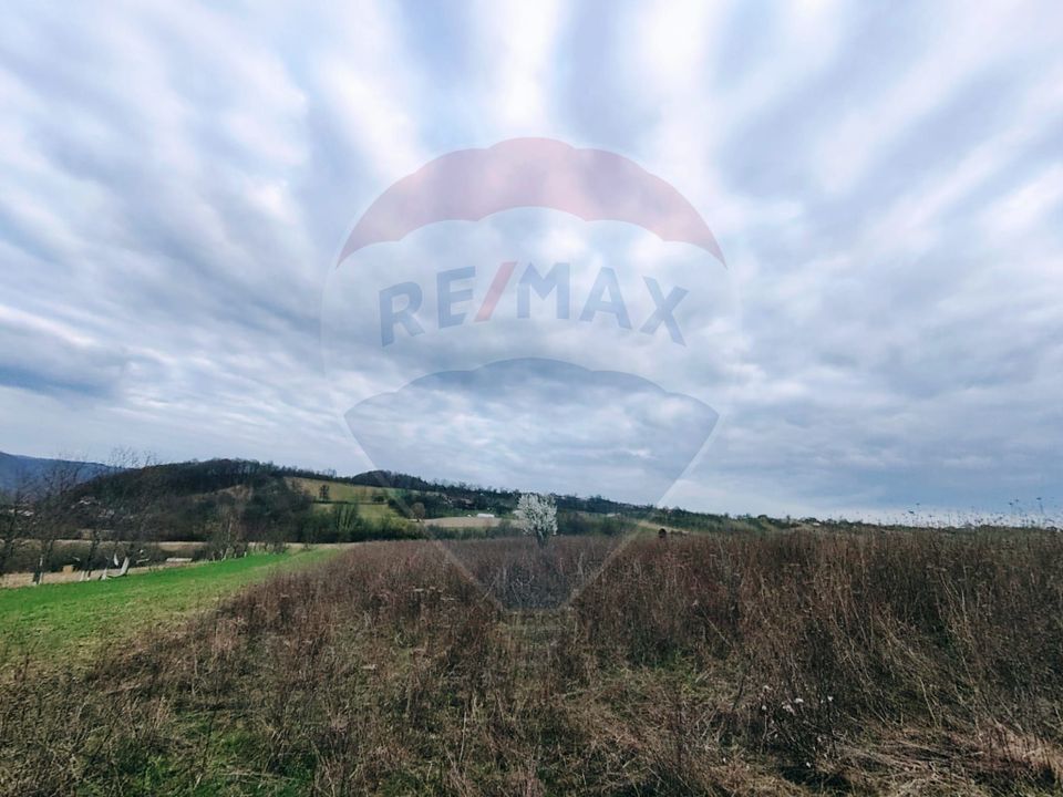 Teren cu panorama superba în Berchezoaia + bonus rulota