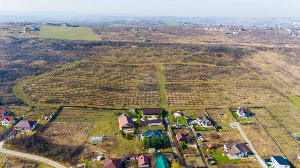 Comision 0 % De vânzare parcele de teren în Vișan