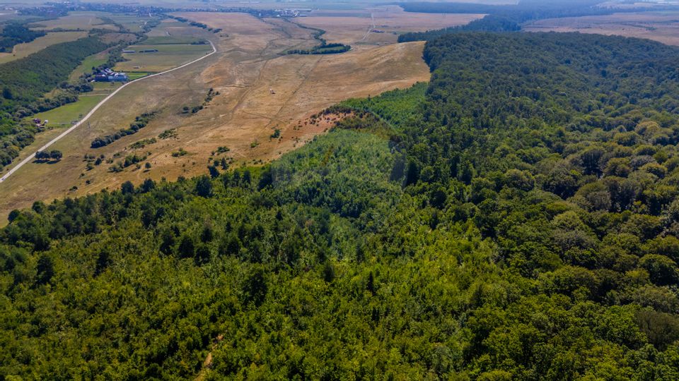 Land 6,000sqm Crizbav / Strada principala