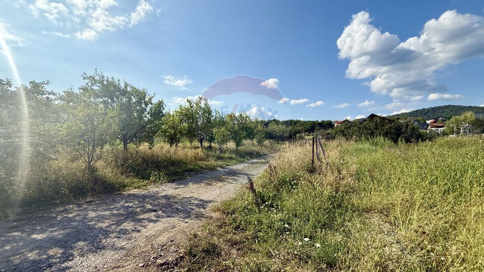 Land Tautii-Magheraus / Strada 52