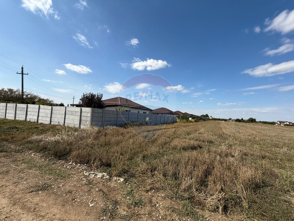 Land 5,000sqm Sabareni / Strada Trandafirilor