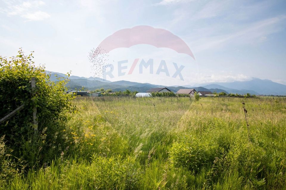 Land 1,205sqm Cristian / Strada Spicului