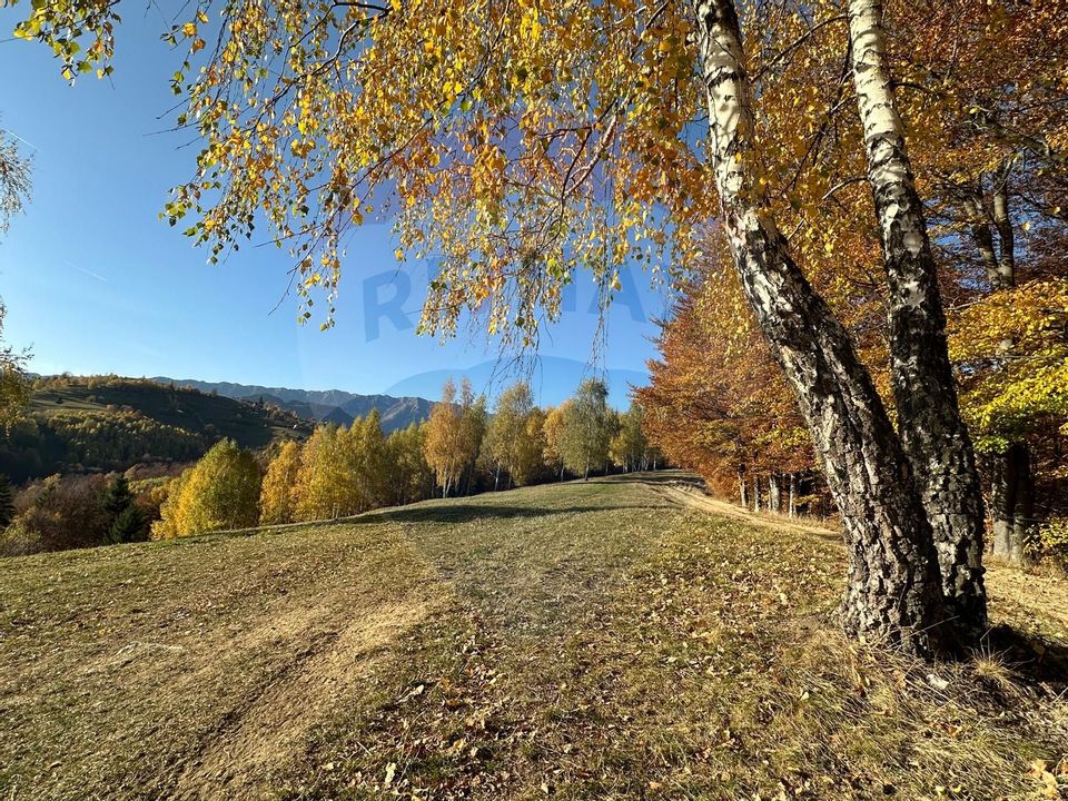 Investment opportunity ! Dream land in Pestera - 125,370 sqm