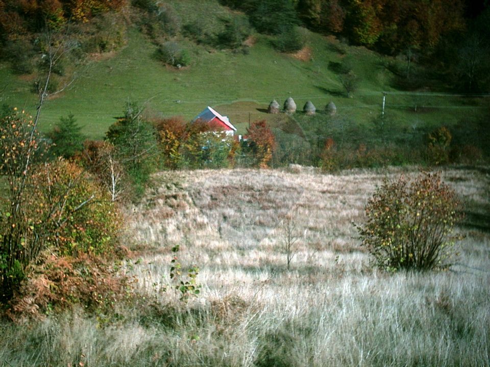Teren 6700 mp, Apuseni, Pietroasa, Valea Aleului, Bihor, De Vânzare