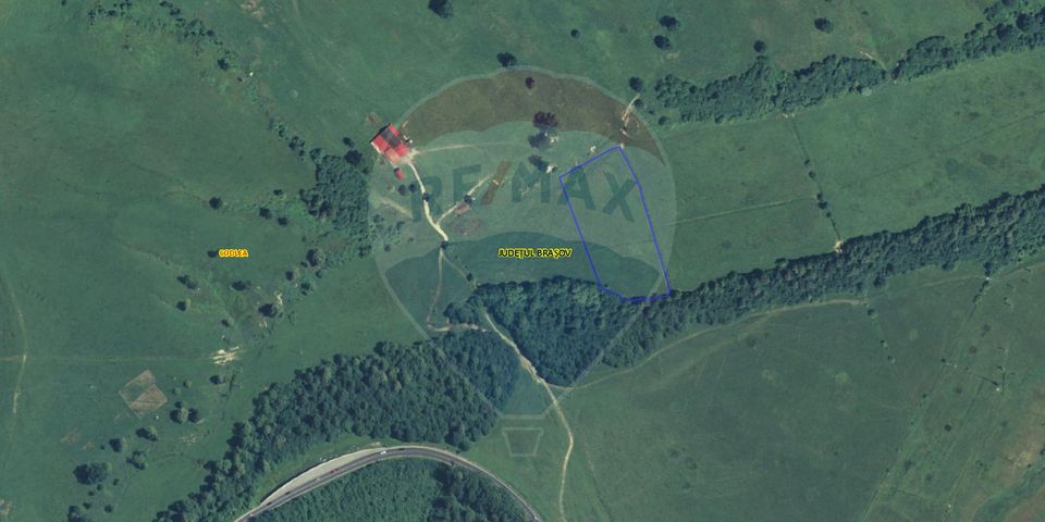 Teren 10,000mp Codlea / DN 1