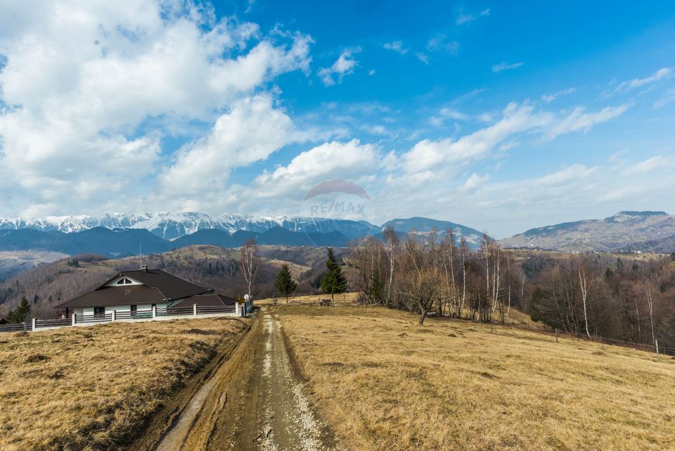 Comision 0%! Teren Moieciu de Jos 1500 mp