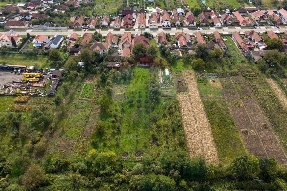 Vila /Pensiune 6 camere in Cristur, jud Hunedoara