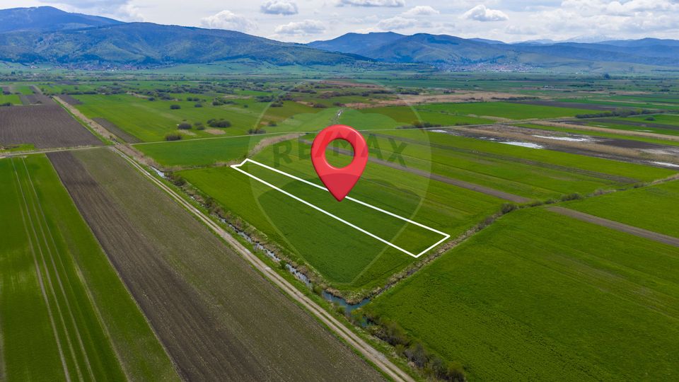 Land 4,000sqm Stupinii Prejmerului / Strada FN