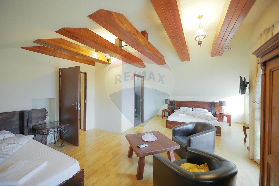 10 room Hotel / Pension for sale, Nufarul area