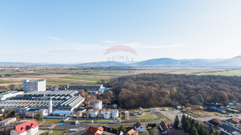 Potenţial de dezvoltare - Depozit carburanţi, Lunca Câlnicului, BV