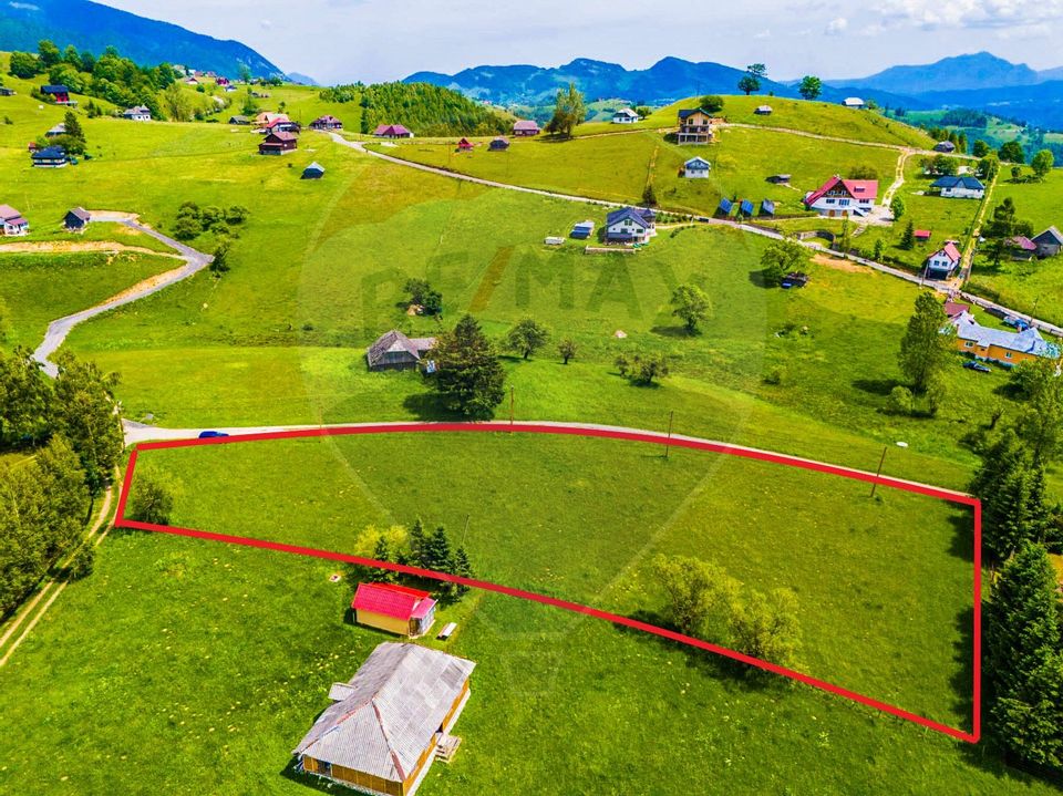 Land 5,731sqm Sirnea / Strada Principala