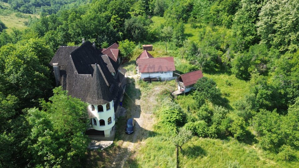 DE VANZARE CASTEL IN MARAMURES