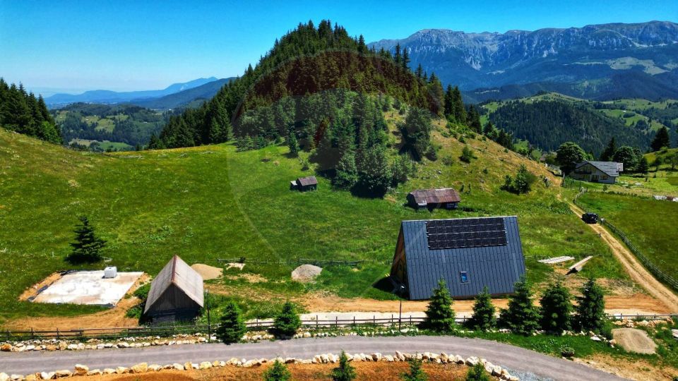 Teren de 7830mp de vanzare in Fundata! Comision 0%