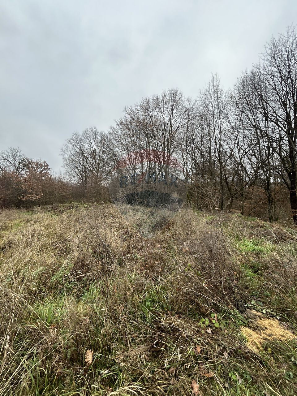 Teren 1,200mp si 400m2 cota drum Satu Nou de Jos / Strada Principala