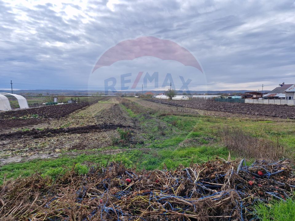 Land 3,624sqm Racarii de Sus / Strada Primaverii