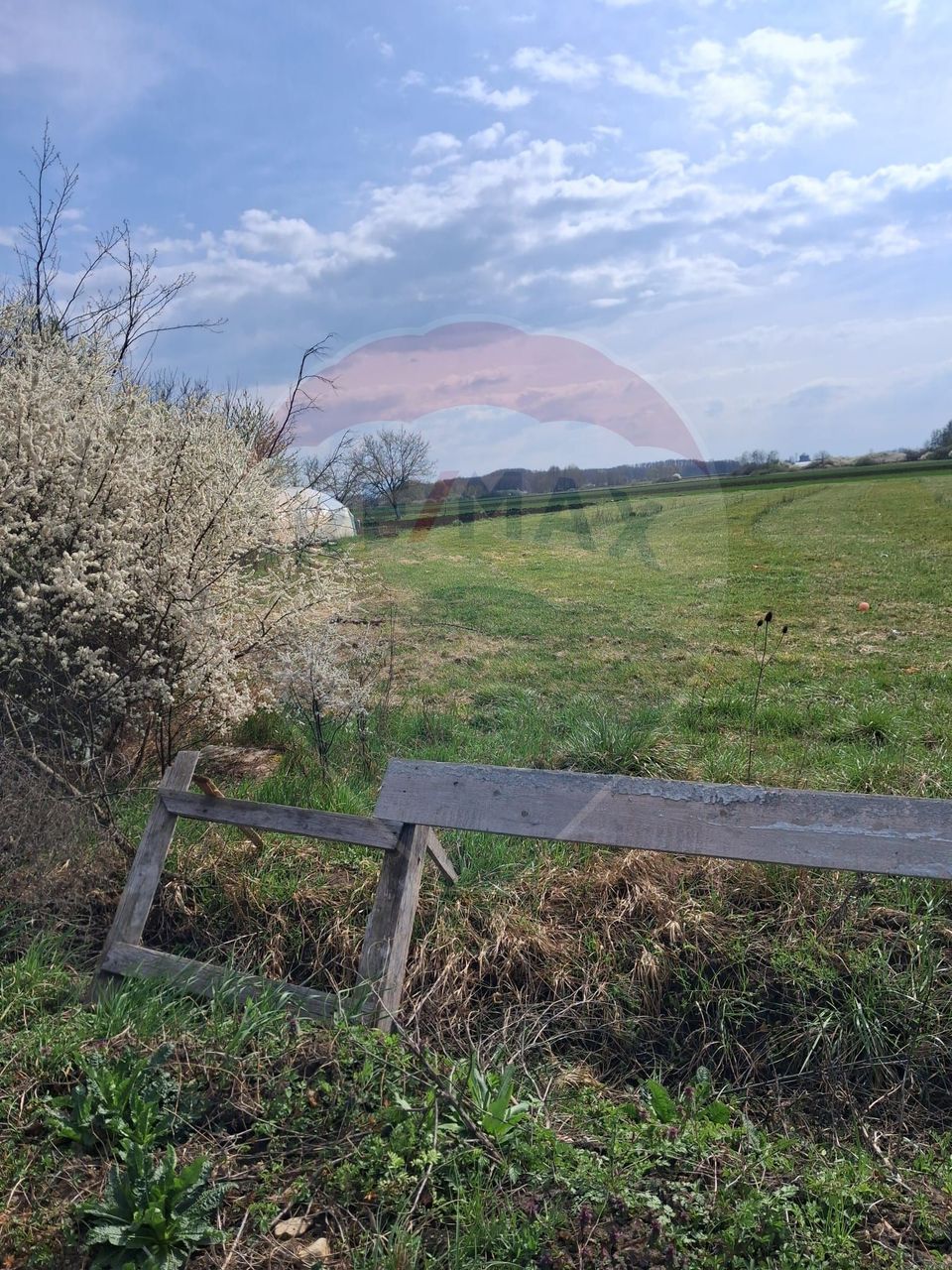 Teren 1,439mp Santaul Mare / Strada principala