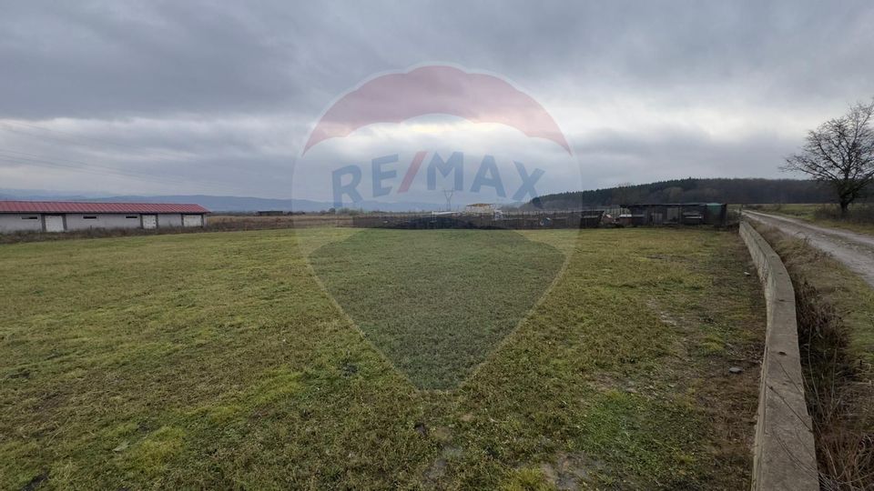 Land 3,700sqm Culcea / Drumul Padurii