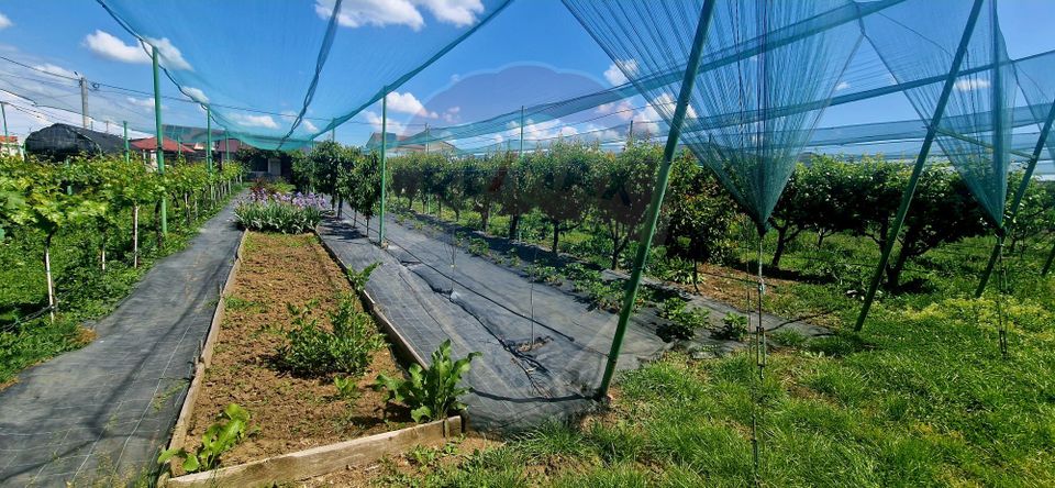 Land 2,000sqm Livada / None