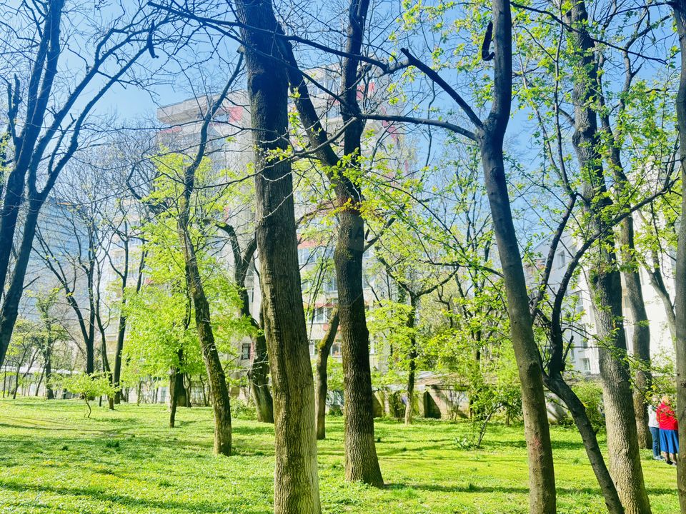 Inchiriez apartament str. Barbu Stefanescu Delavrancea Kiseleff