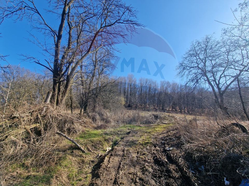 Land 4,985sqm Sascut / None