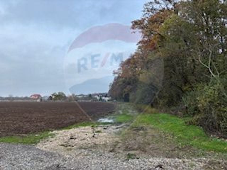 Teren Vladiceasca / Soseaua Vladiceasca 1109 mp Liziera Padurii