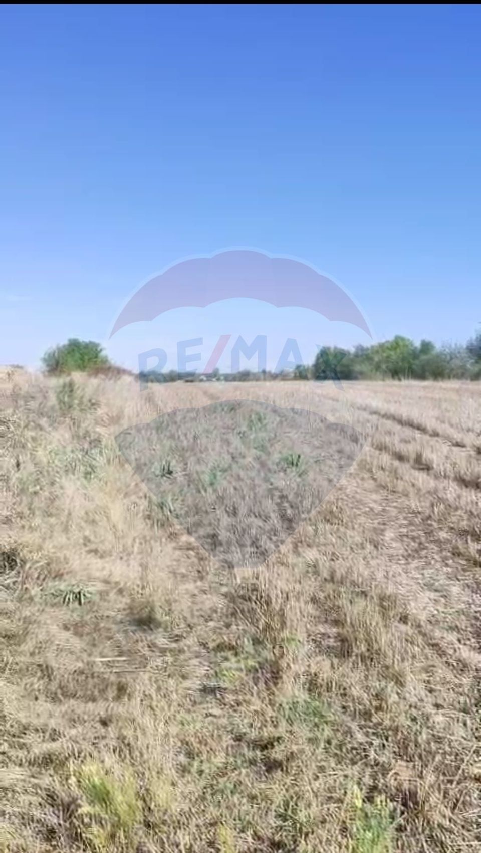 Teren 5,000mp Tantava / Strada Tufan