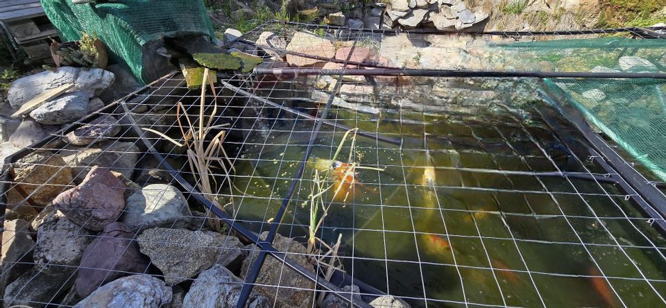 8 room House / Villa for sale, Central area