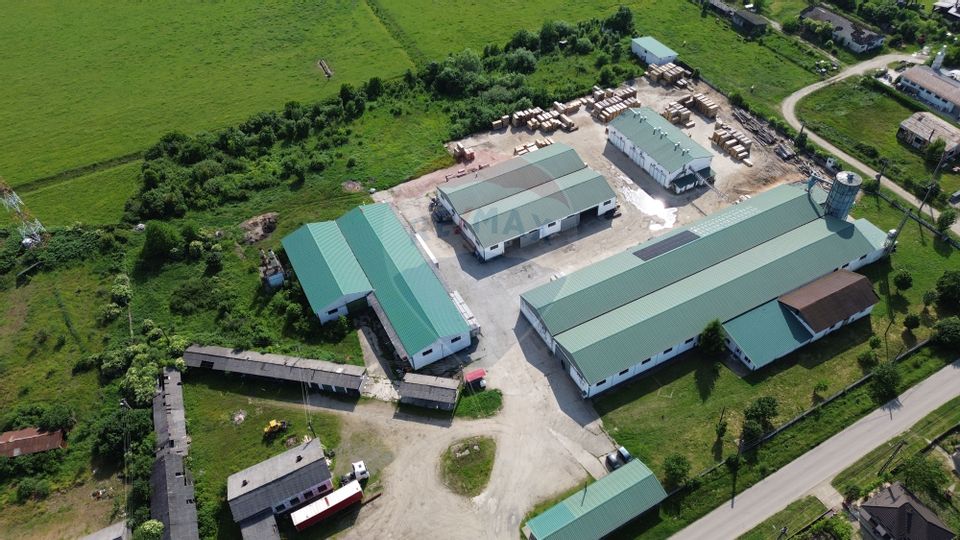 Hale de vanzare-ideale pentru depozit sau productie