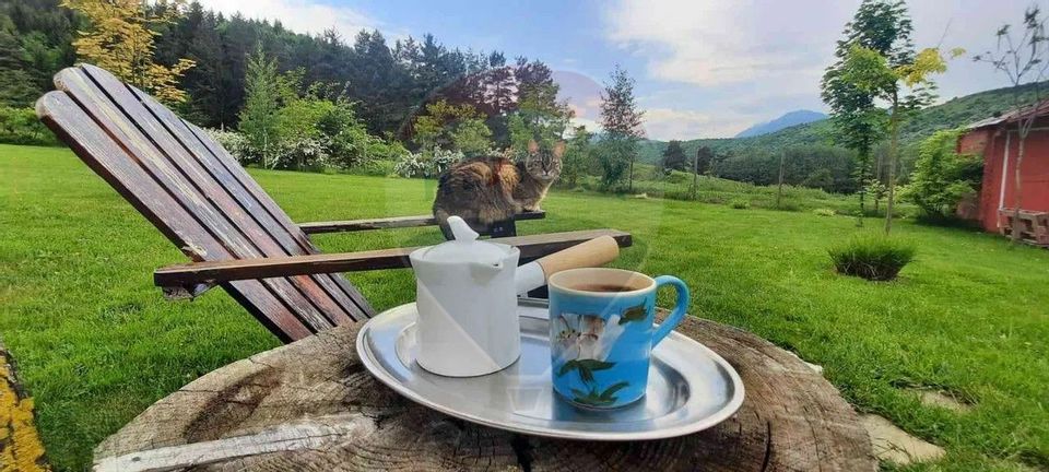 2 room House / Villa for rent