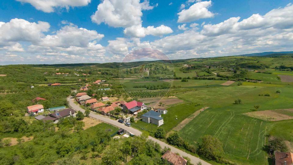 Casă cu 3 camere, anexă și 2042 mp teren de vânzare, în Calea Mare