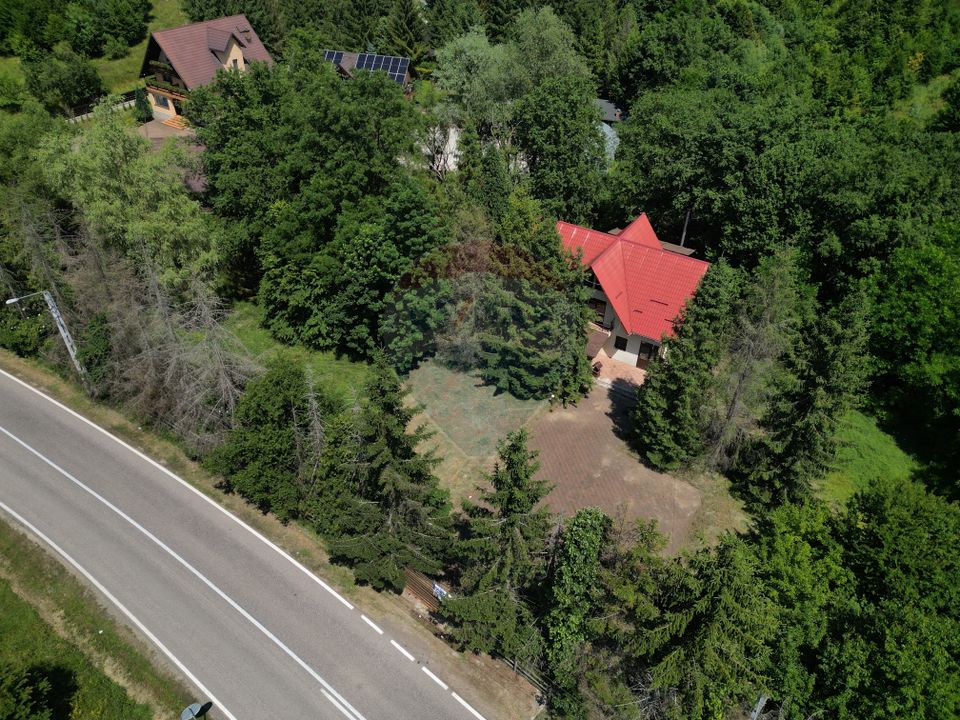 Casa cu teren generos – refugiul perfect în Paltinoasa, Suceava