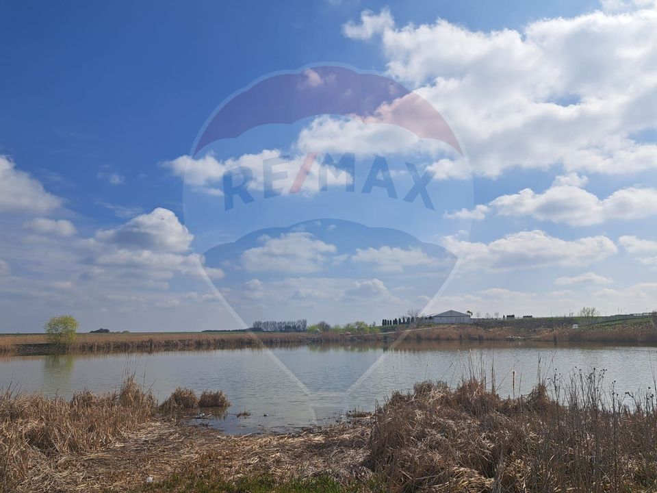 Teren 2 loturi 2000 + 5000 mp Frumusani deschidere  Lacul Pasarea