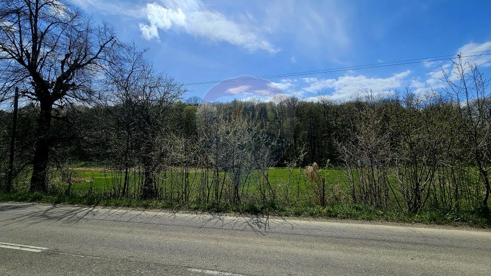 Land 10,000sqm Nemtisor / DJ 155C