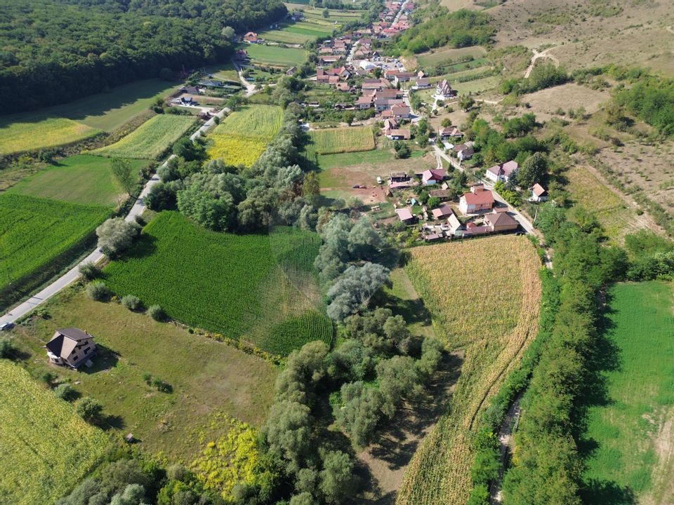 Casă langa Medias cu 2500 mp teren