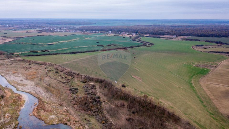 Land 310,000sqm Catunu (Berceni) / Intrarea tarla 17