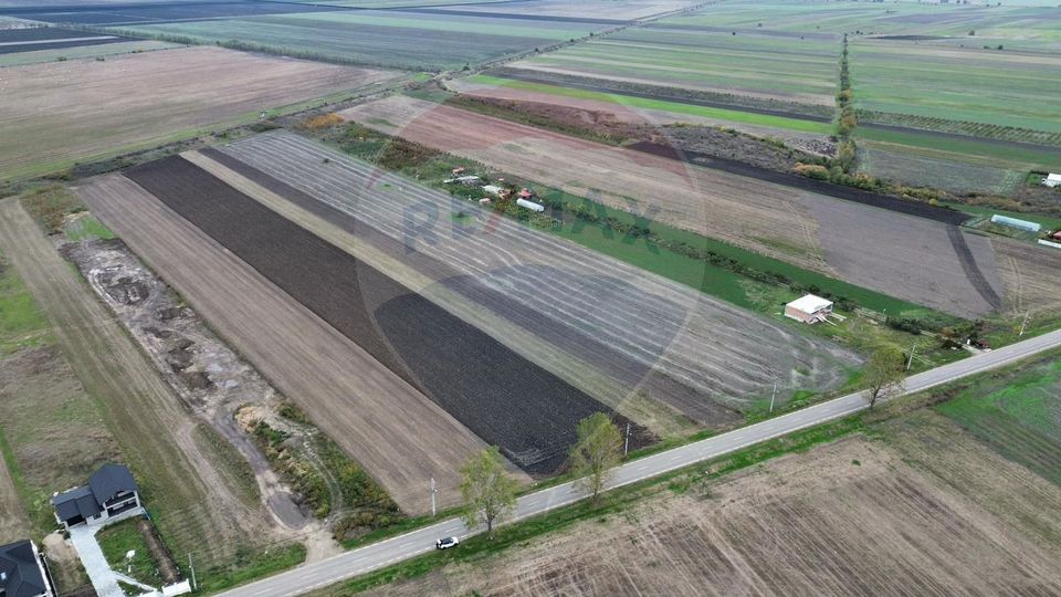 Teren intravilan 10869mp Mircestii Vechi / DJ 204E