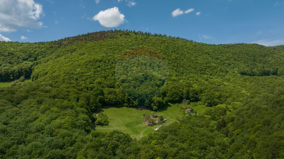 Land 5,310sqm Colonia 1 Mai / None