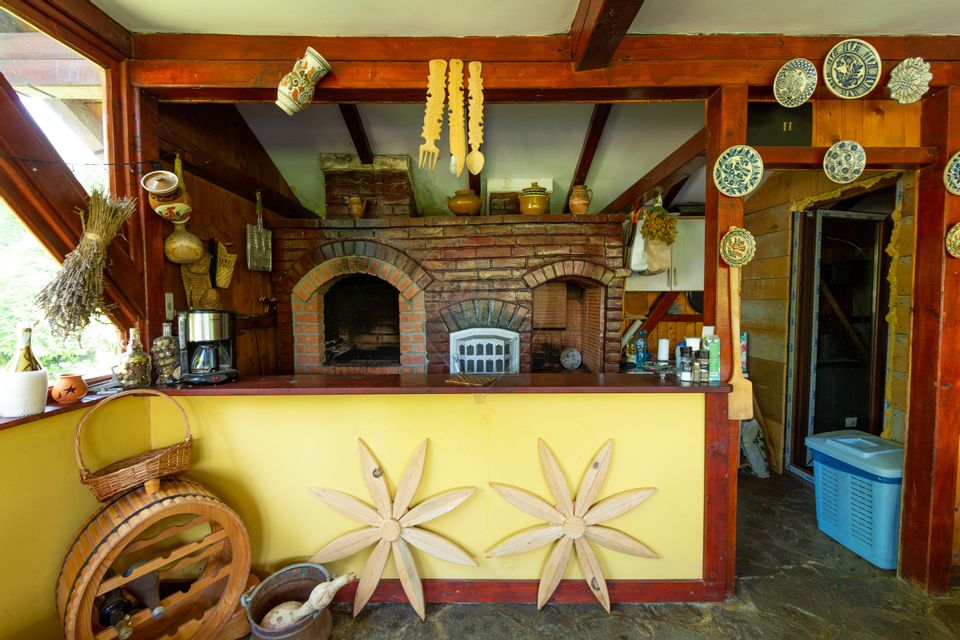 Casă spațioasă cu garaj dublu, foișor și curte amenajată