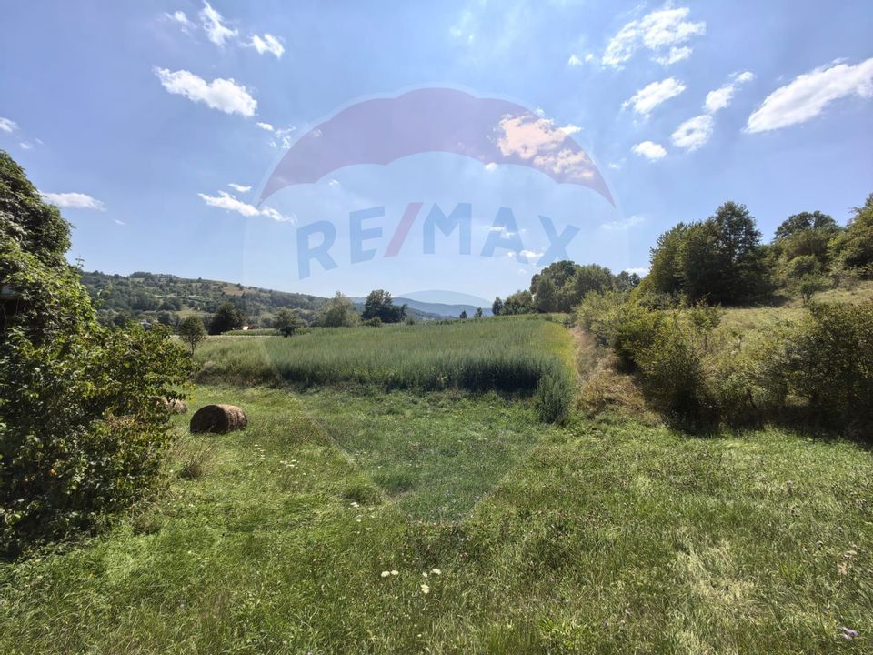 Casă cu teren generos de 62 ari – Berința, Maramureș