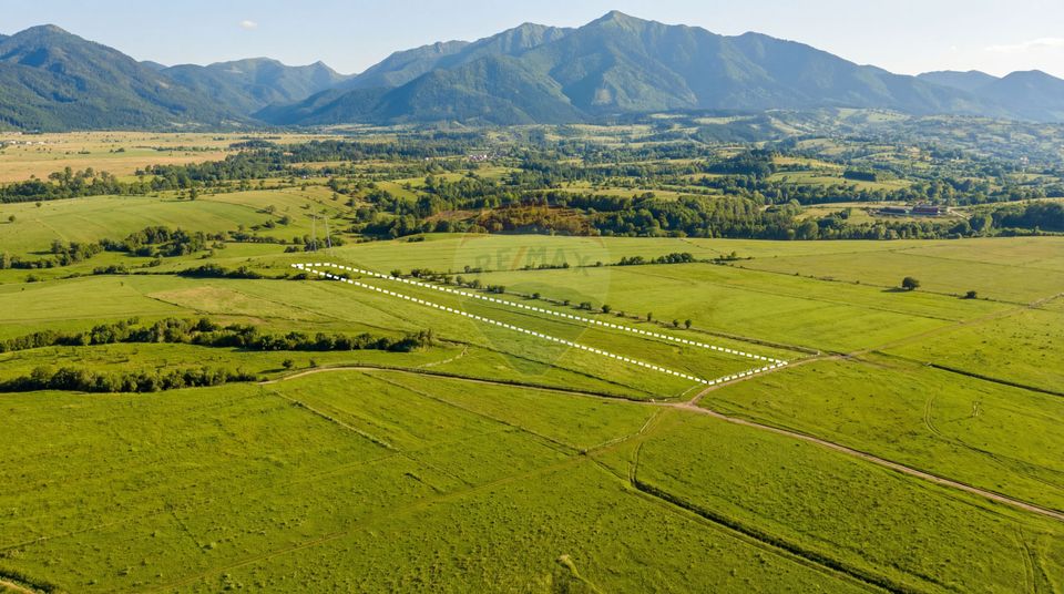 Teren 8,329mp Râșnov / Extravilan / COMISION 0%