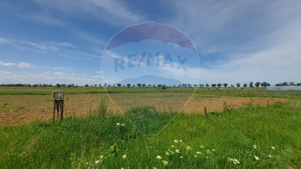 Land 490sqm Gepiu / Aleea Secundara