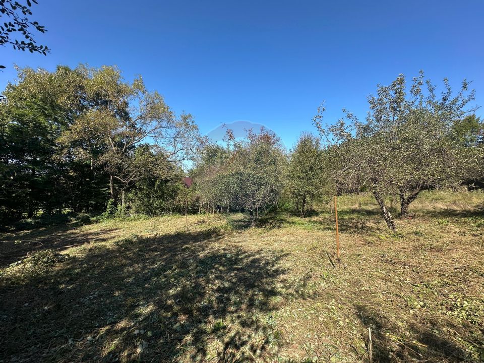 Land 4,101sqm Coruia / Strada Viilor