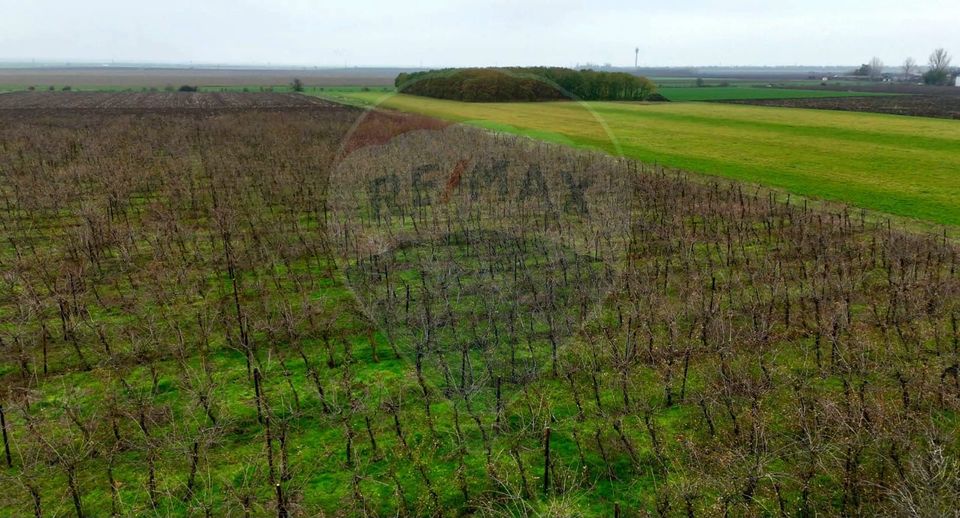 430,000sq.m Special Property for sale