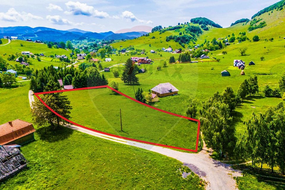 Land 5,731sqm Sirnea / Strada Principala