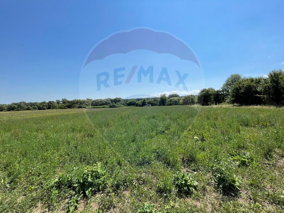 TEREN  INTRAVILAN  5000mp ORAS CISNADIE  STR. SELIMBARULUI