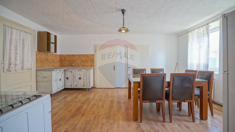 Ultracentral , Cristian, locuinta saseasca, curte comuna